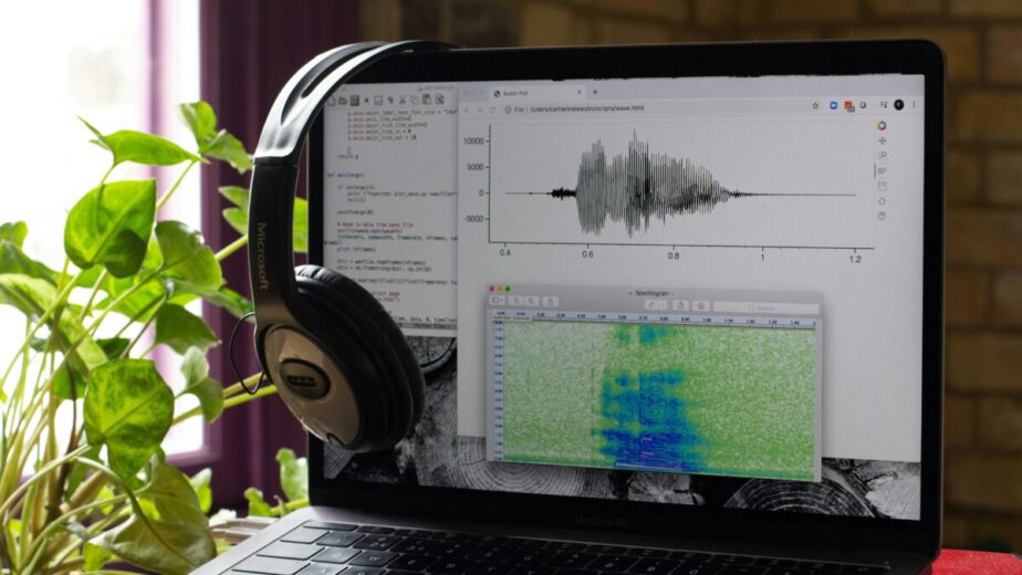 Voice AI and Voice Bots