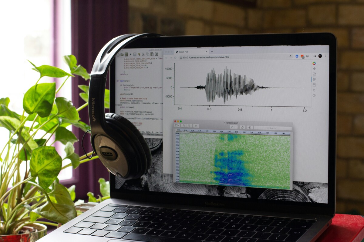 Voice AI and Voice Bots